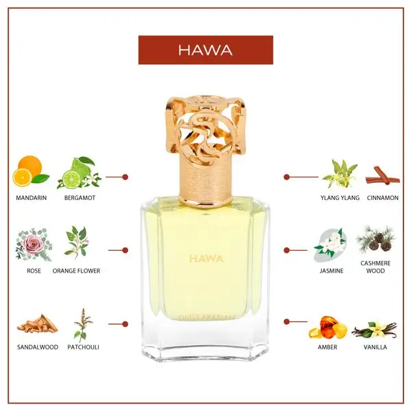 HAWA - Image 4